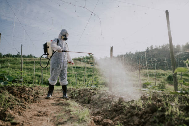 Best Local Pest Control Services  in Tucumcari, NM