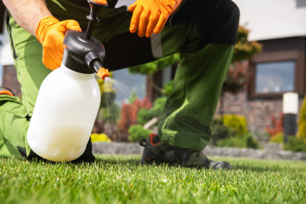 Best Commercial Pest Control Services  in Tucumcari, NM