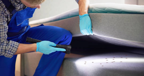 Best Pest Control Near Me  in Tucumcari, NM